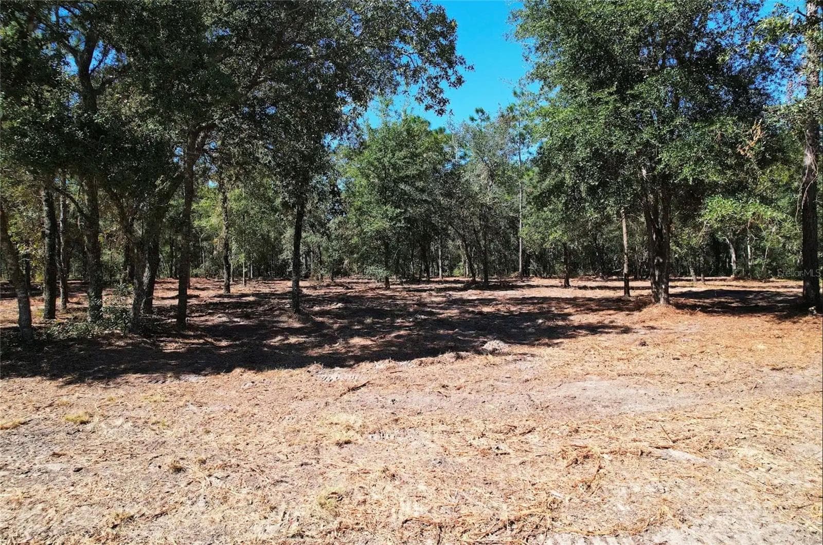 Land at NE 16TH PL, WILLISTON, photo 11 of 14