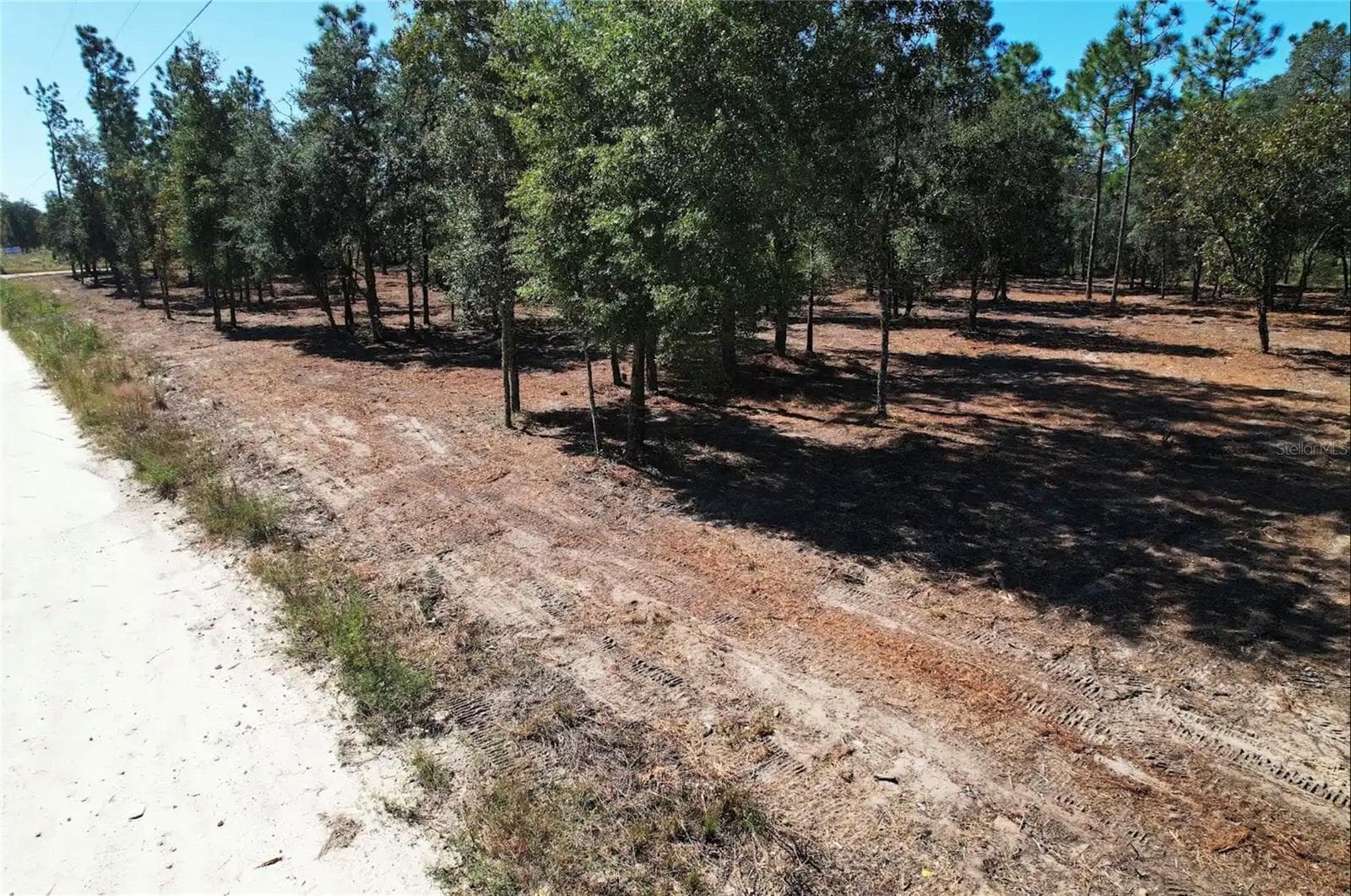 Land at NE 16TH PL, WILLISTON, photo 12 of 14