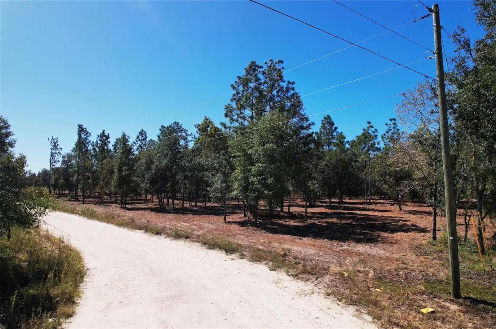 Land at NE 16TH PL, WILLISTON, photo 13 of 14