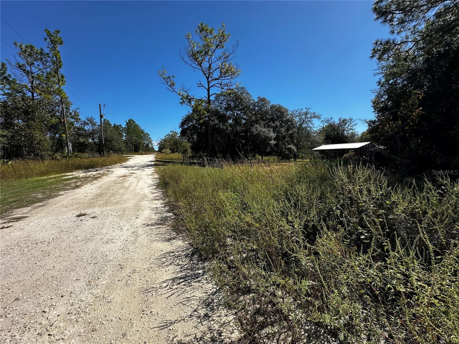 Land at TBD NE 65TH LN, BRONSON, photo 5 of 10
