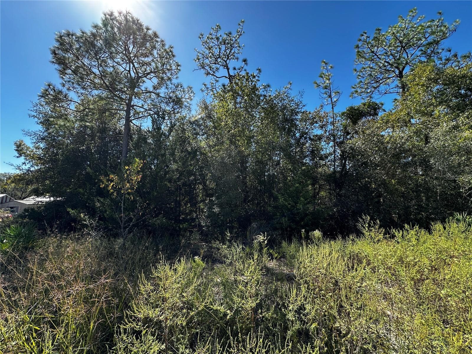 Land at TBD NE 65TH LN, BRONSON, photo 6 of 10