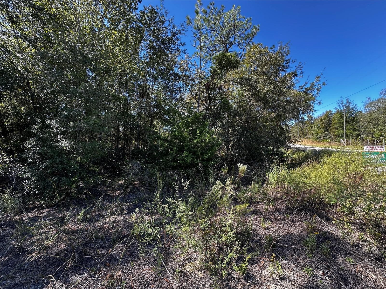 Land at TBD NE 65TH LN, BRONSON, photo 7 of 10