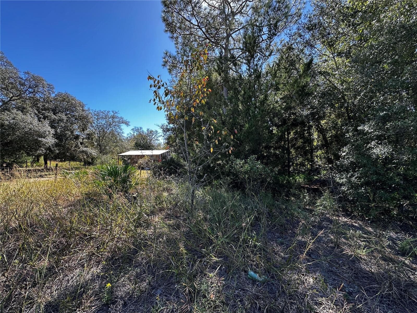 Land at TBD NE 65TH LN, BRONSON, photo 8 of 10