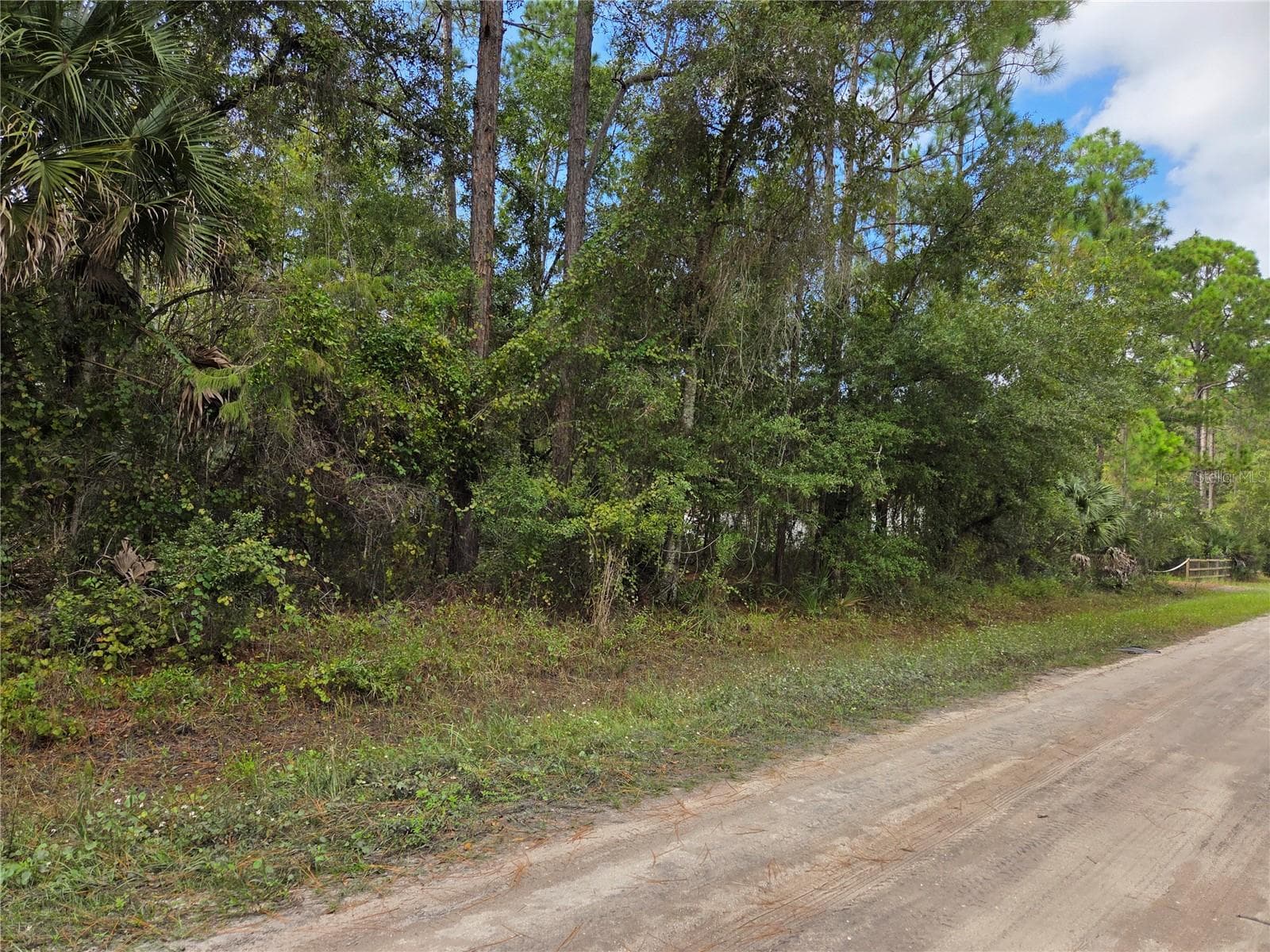 Land at 2096 ORANGE ST, BUNNELL, photo 3 of 8