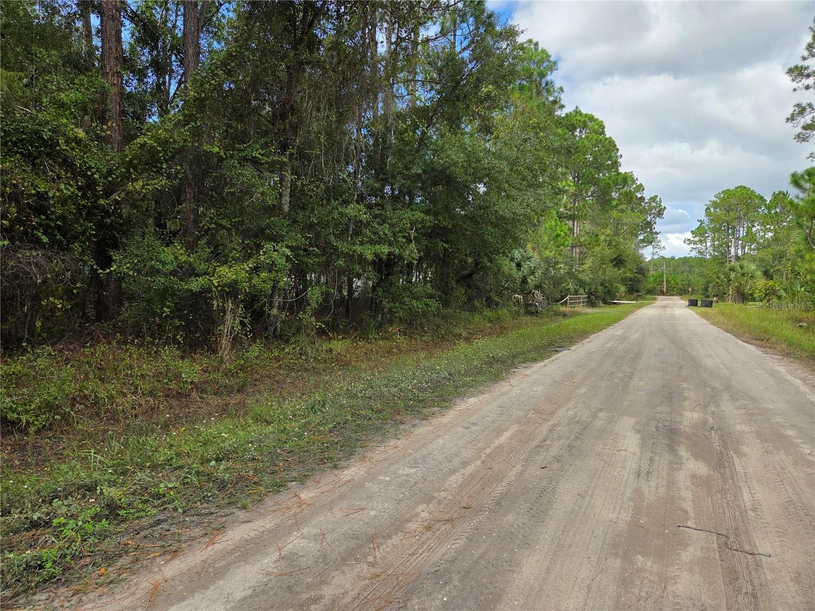 Land at 2096 ORANGE ST, BUNNELL, photo 4 of 8