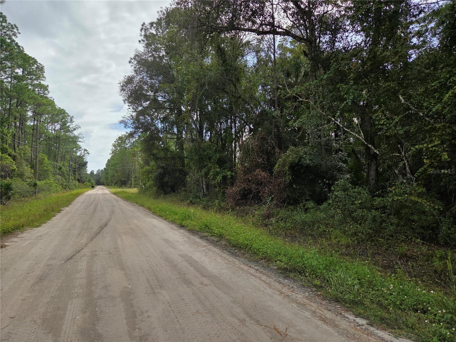 Land at 2096 ORANGE ST, BUNNELL, photo 5 of 8