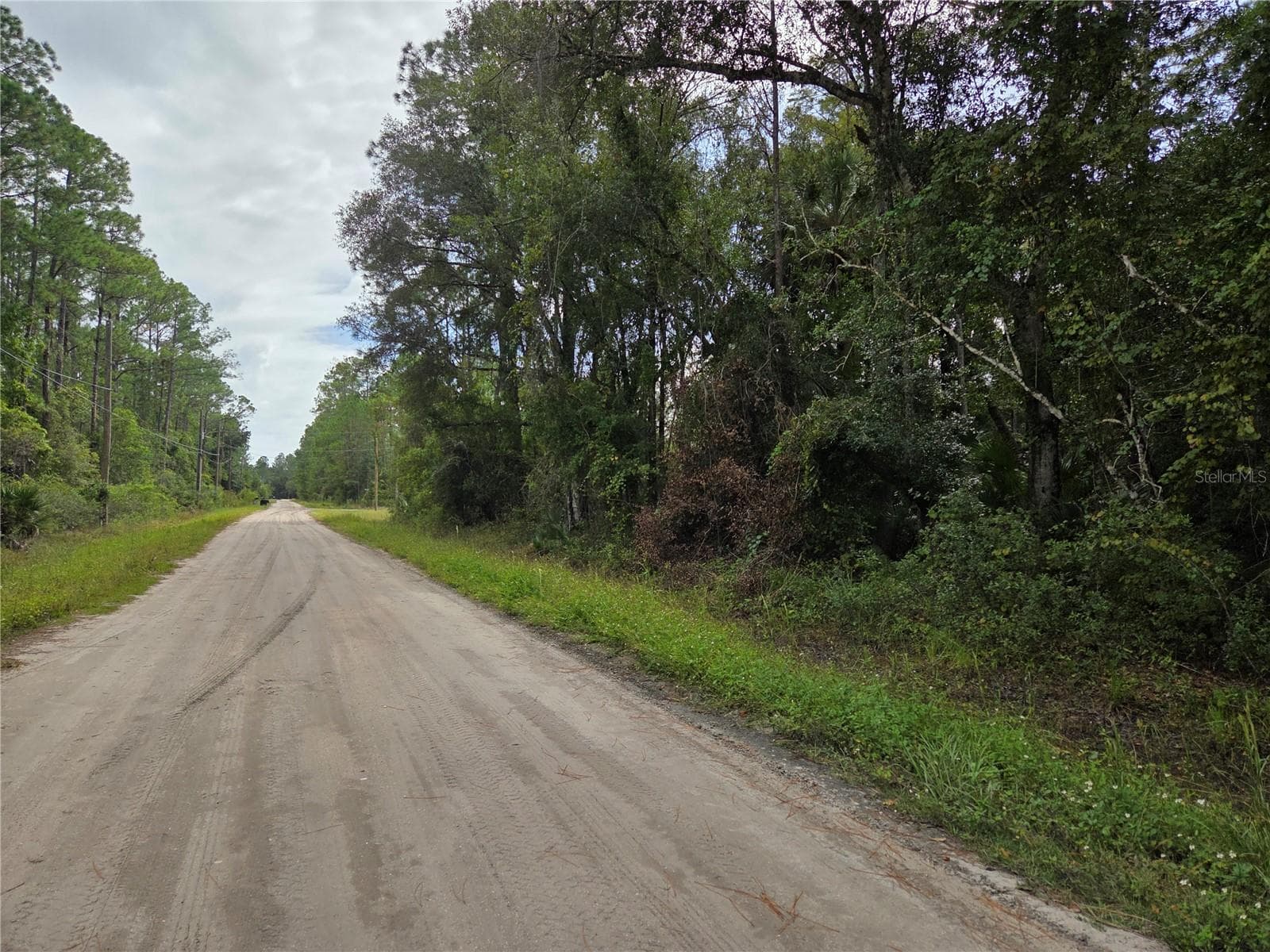 Land at 2096 ORANGE ST, BUNNELL, photo 6 of 8