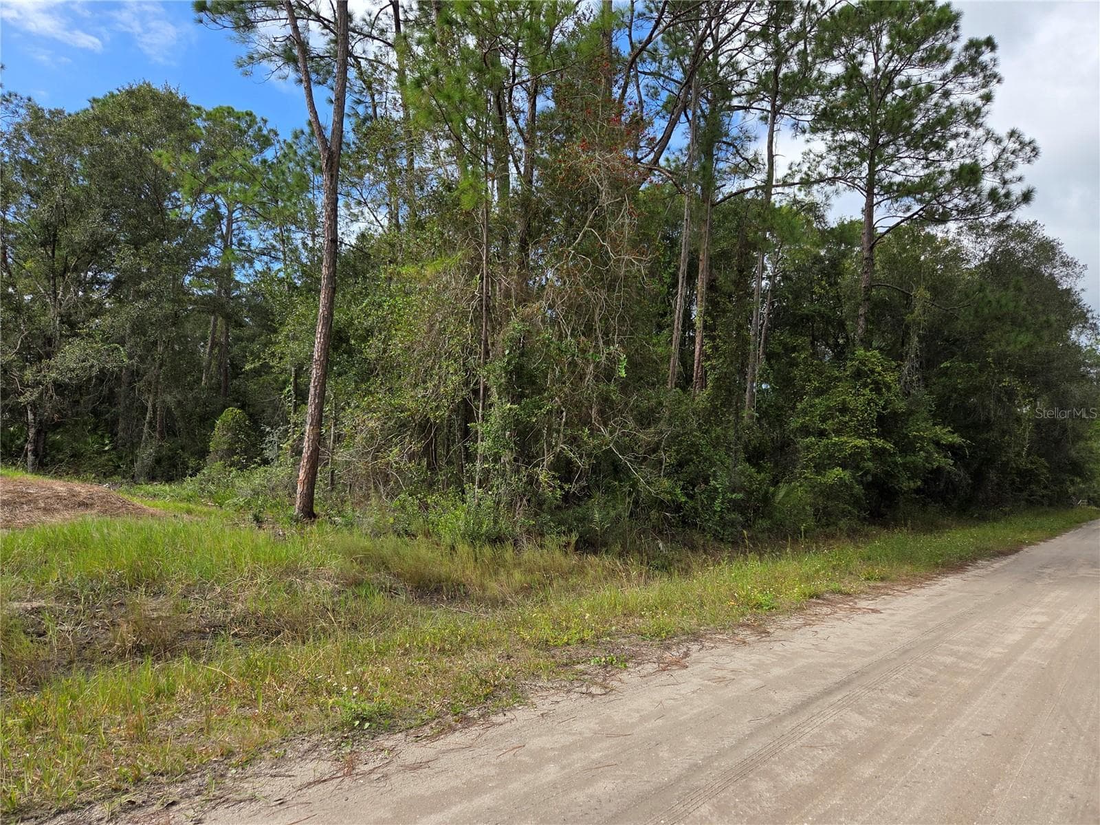 Land at 2096 ORANGE ST, BUNNELL, photo 7 of 8