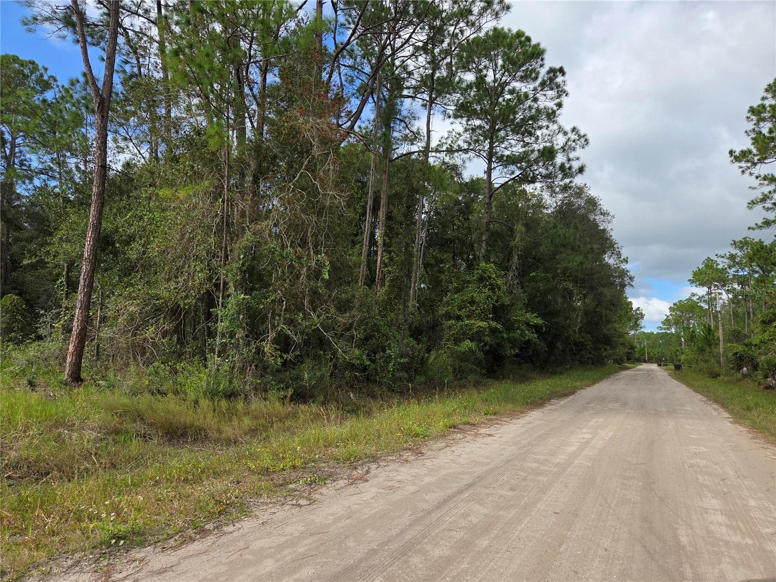 Land at 2096 ORANGE ST, BUNNELL, photo 8 of 8