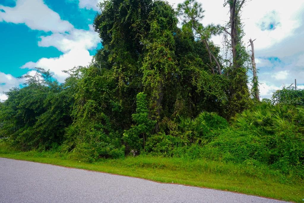 Land at 1150 GREAT FALLS AVE, PORT CHARLOTTE, photo 14 of 18