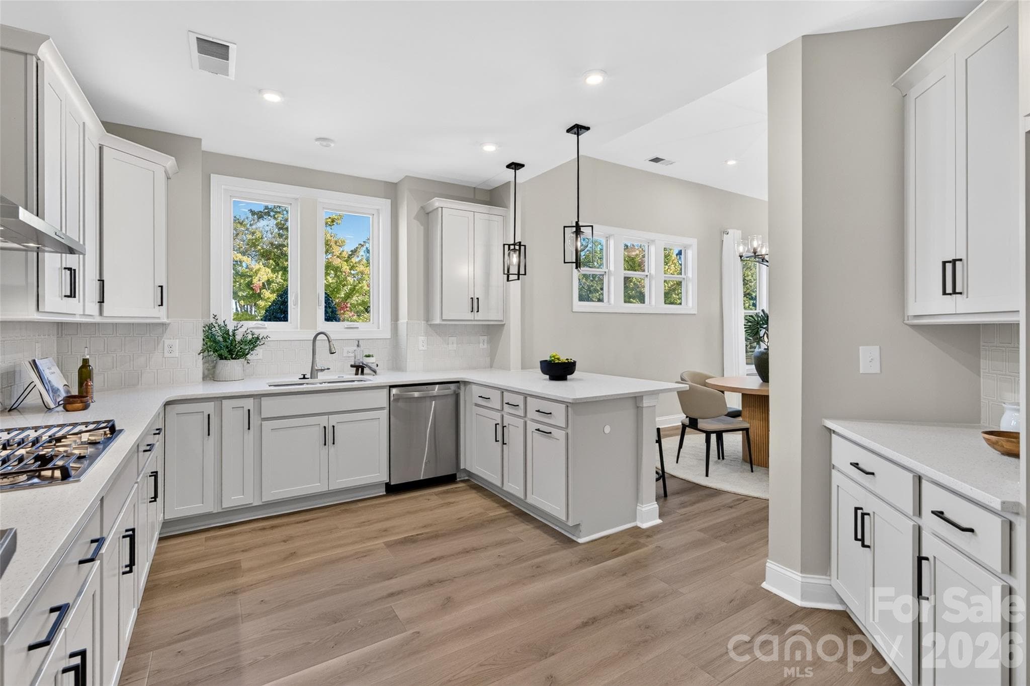 Single Family Residence at 8905 Silver Springs Court, Charlotte, photo 15 of 49