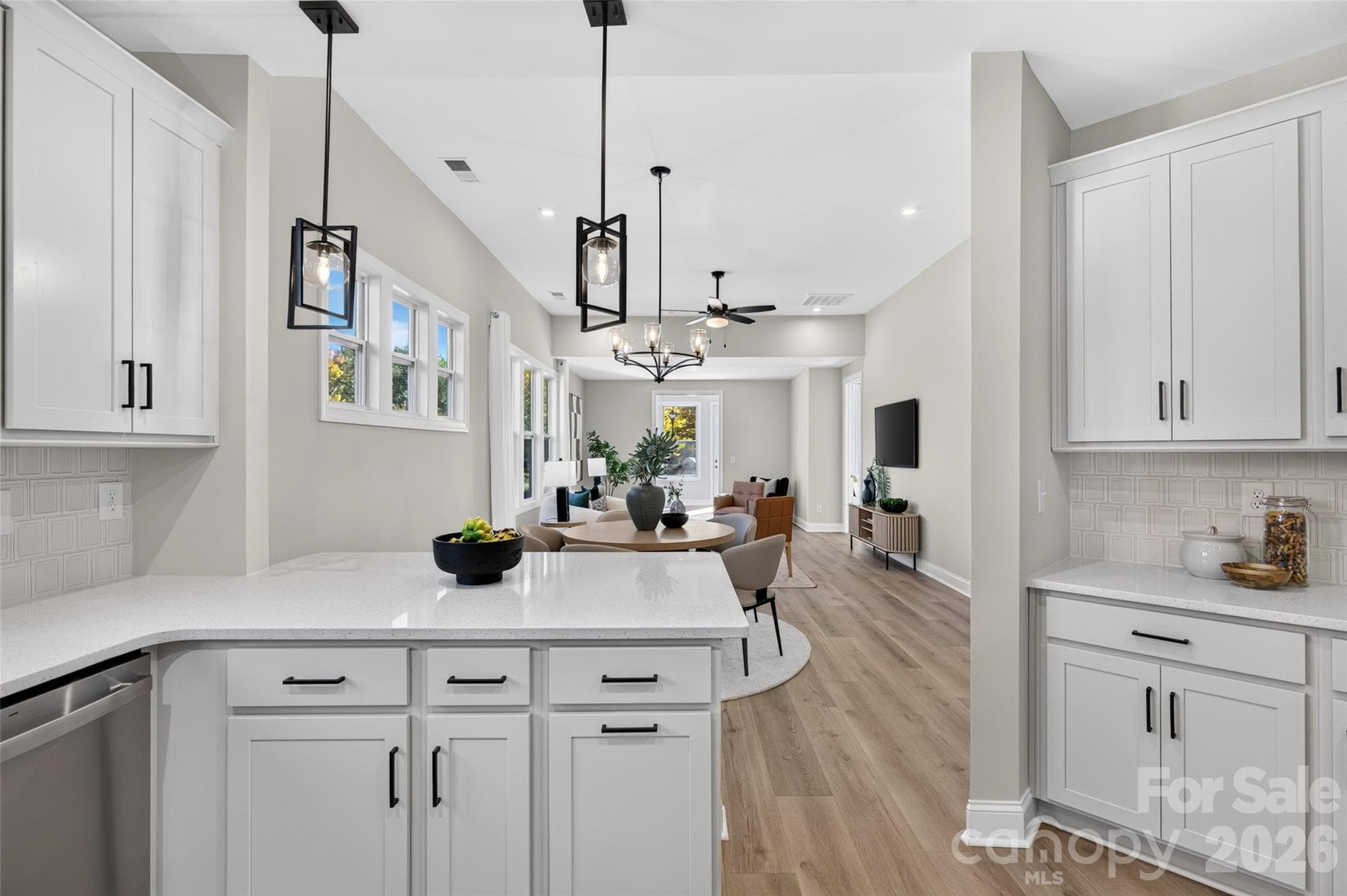 Single Family Residence at 8905 Silver Springs Court, Charlotte, photo 18 of 49