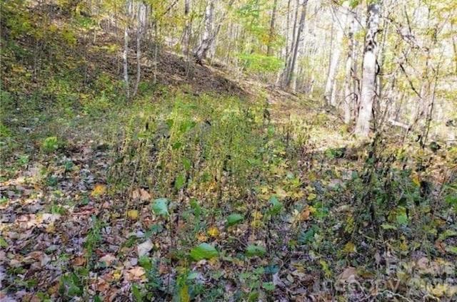 Acreage at 1930 Ball Branch Road, Boone, photo 2 of 5