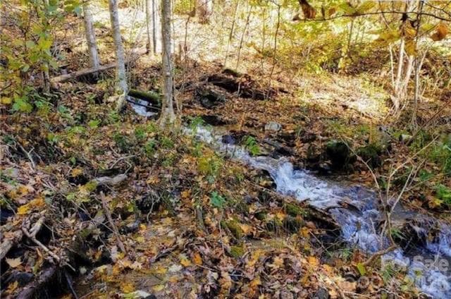 Acreage at 1930 Ball Branch Road, Boone, photo 5 of 5