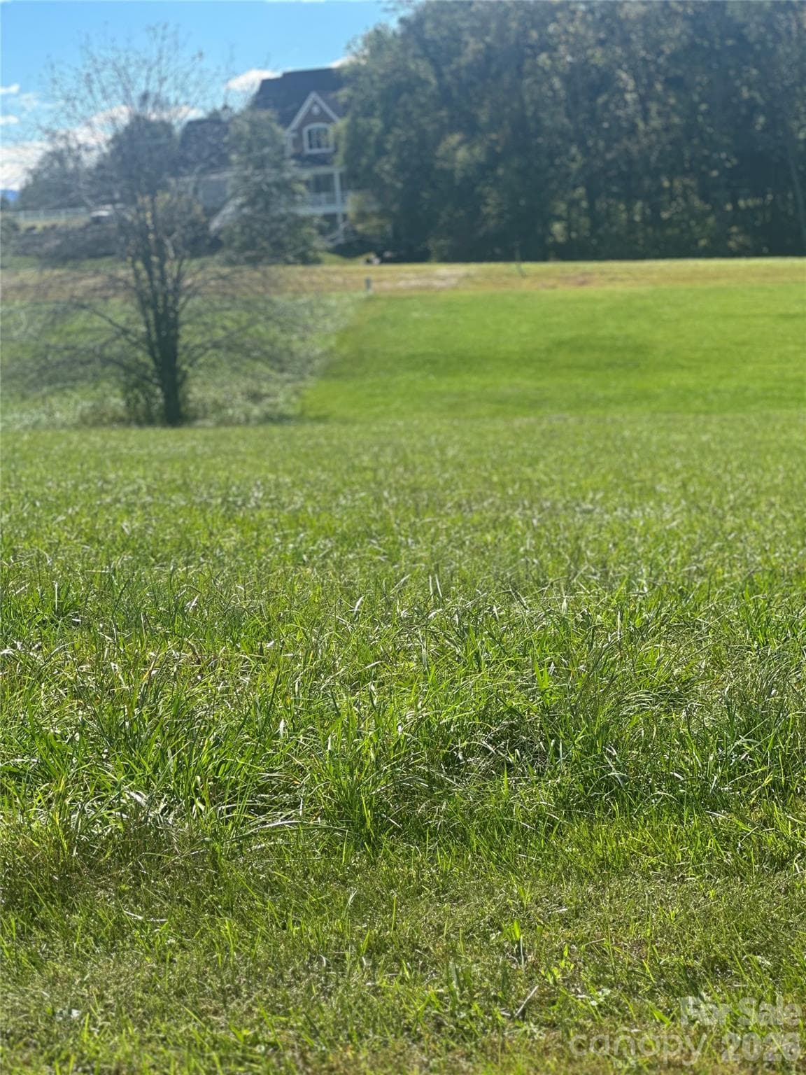 Lot 205 Canterbury Drive