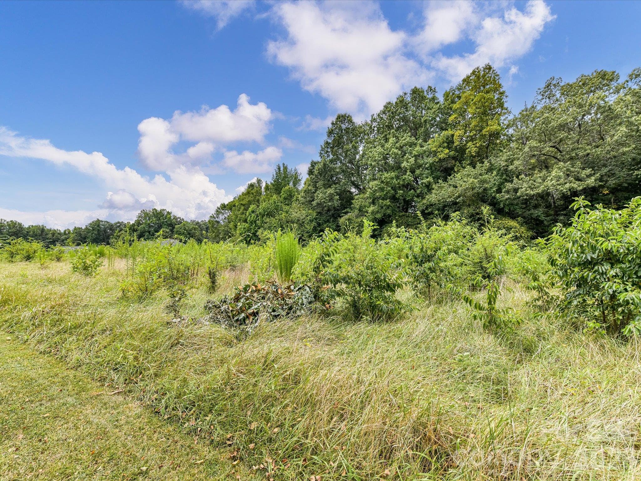 Beautiful, partially cleared homesite featuring natural grasses, lush greenery, and a backdrop of mature trees, offering a peaceful, private setting with endless possibilities for your future dream home. - 494 New Salem Road, Statesville