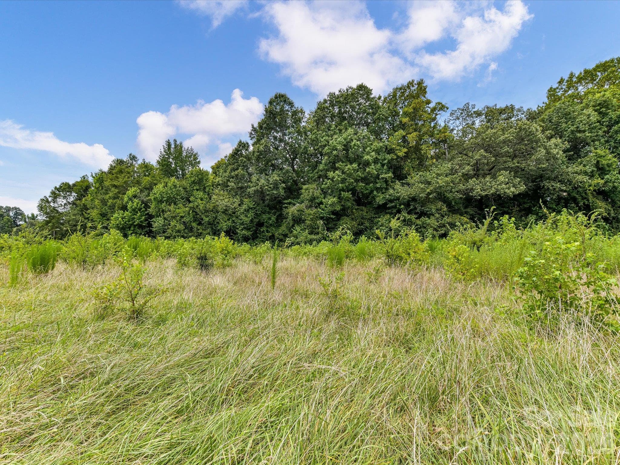 Beautiful, partially cleared homesite featuring natural grasses, lush greenery, and a backdrop of mature trees, offering a peaceful, private setting with endless possibilities for your future dream home. - 494 New Salem Road, Statesville