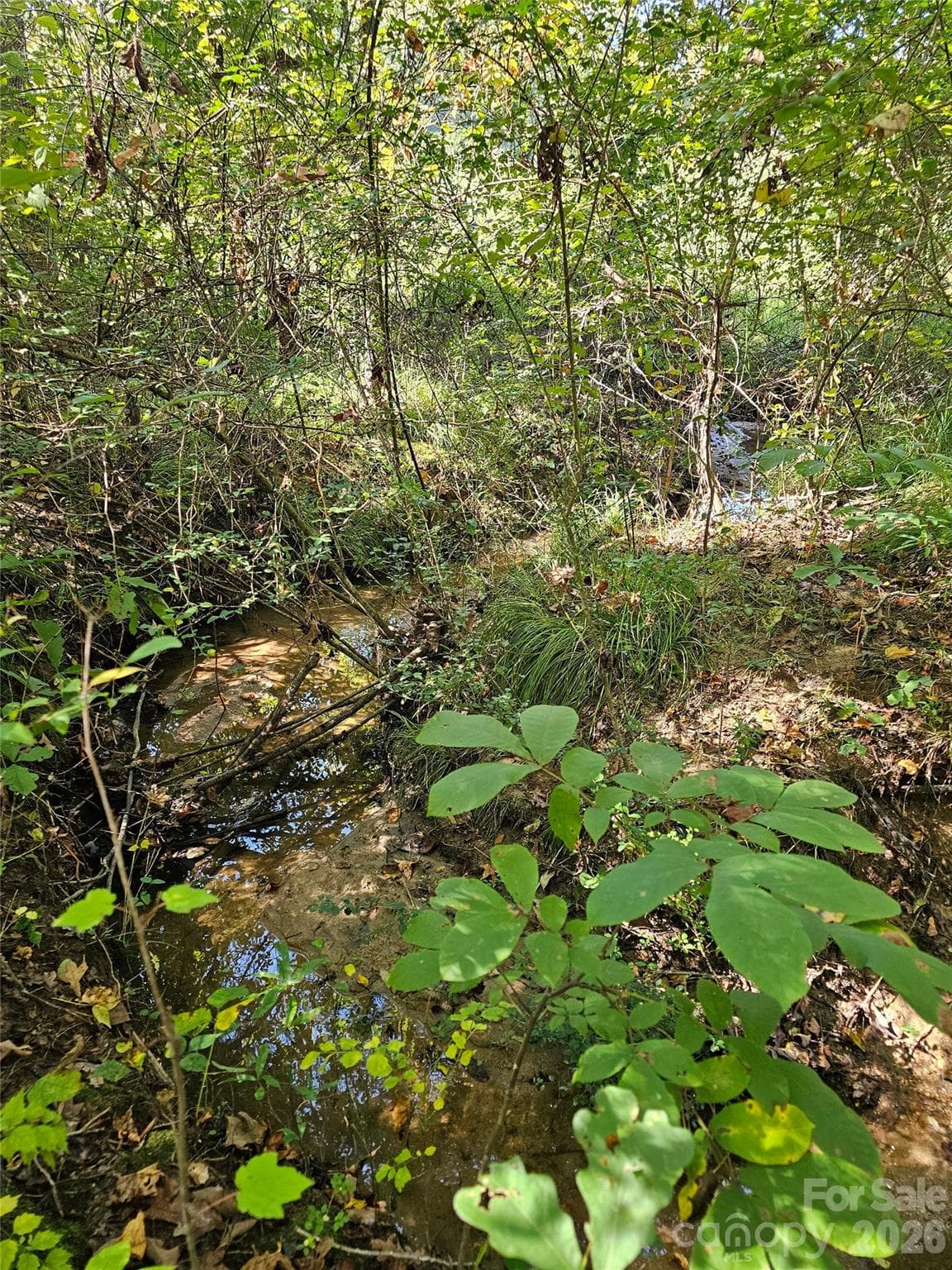 Acreage at 0 Cloud Top Lane, Mooresville, photo 6 of 25