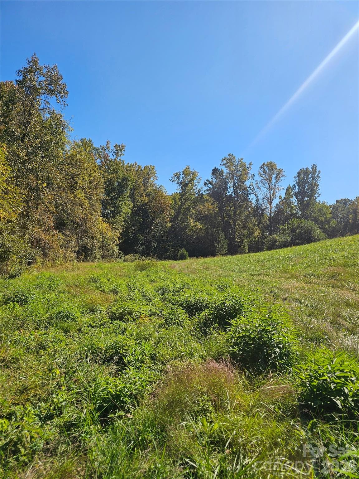 Acreage at 0 Cloud Top Lane, Mooresville, photo 7 of 25