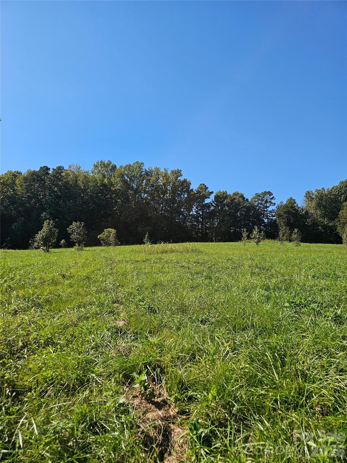Acreage at 0 Cloud Top Lane, Mooresville, photo 10 of 25