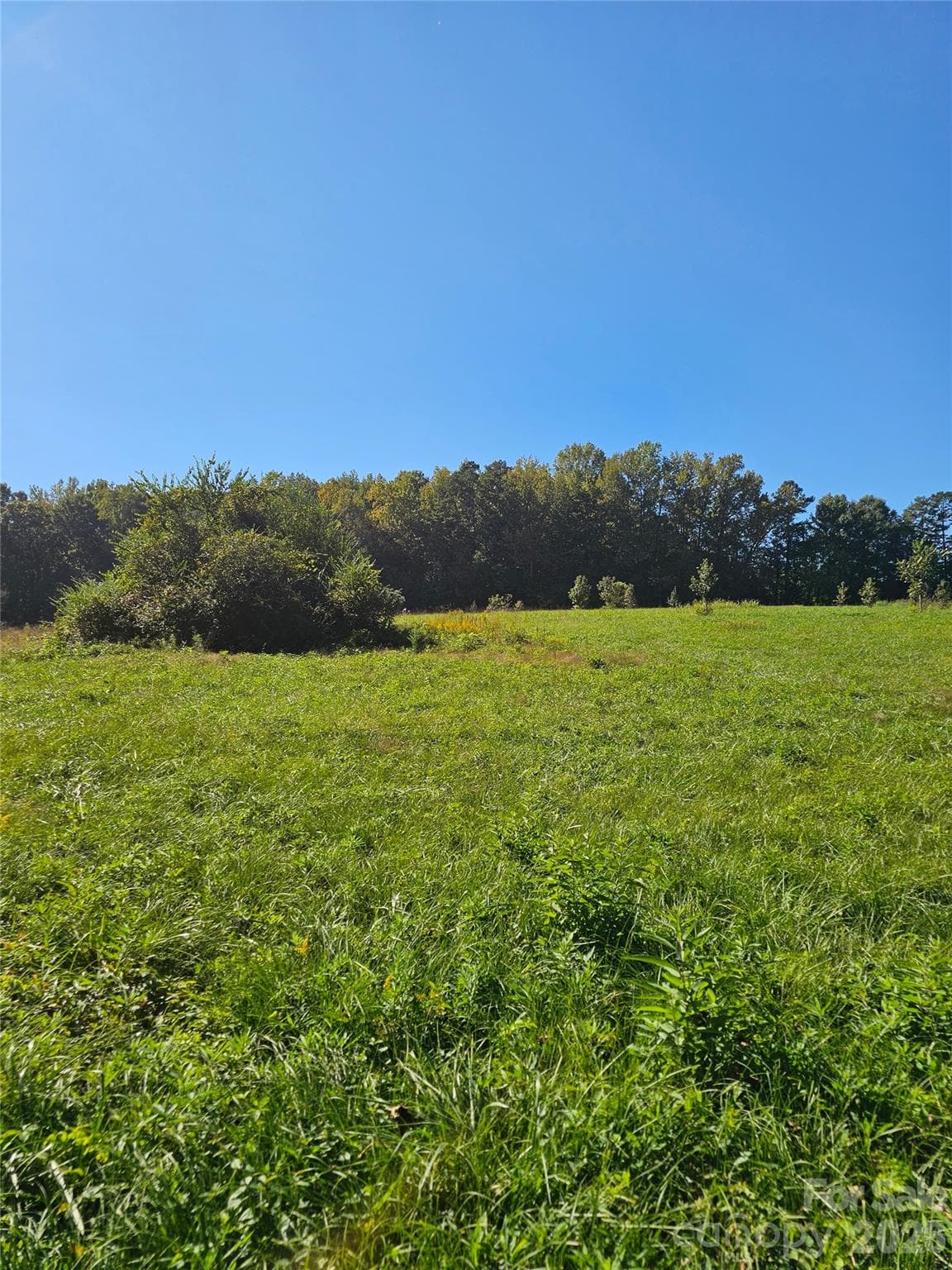 Acreage at 0 Cloud Top Lane, Mooresville, photo 12 of 25
