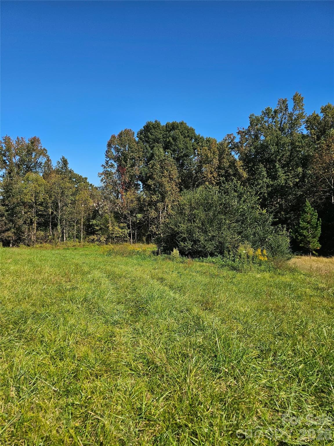 Acreage at 0 Cloud Top Lane, Mooresville, photo 15 of 25