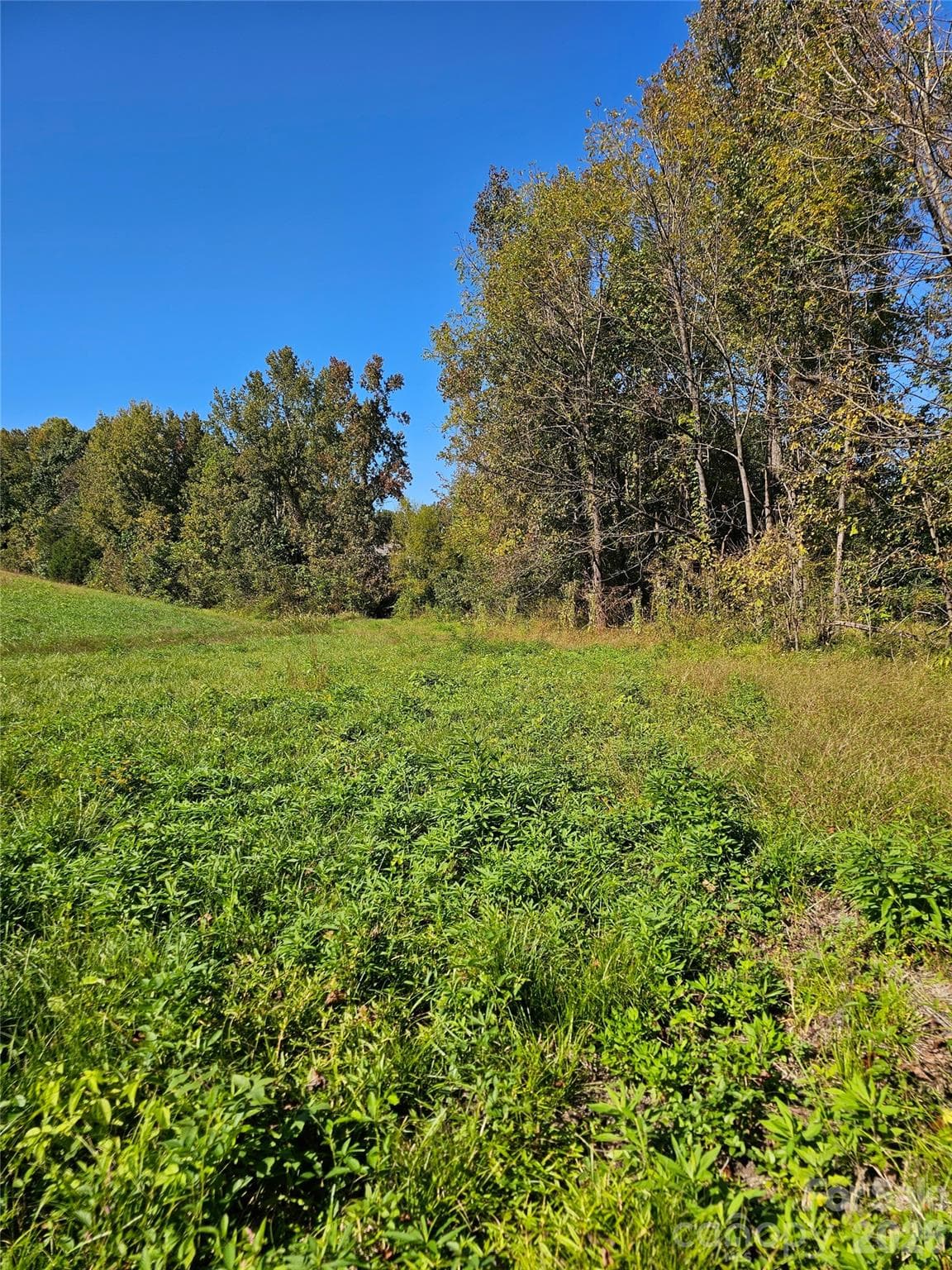Acreage at 0 Cloud Top Lane, Mooresville, photo 16 of 25