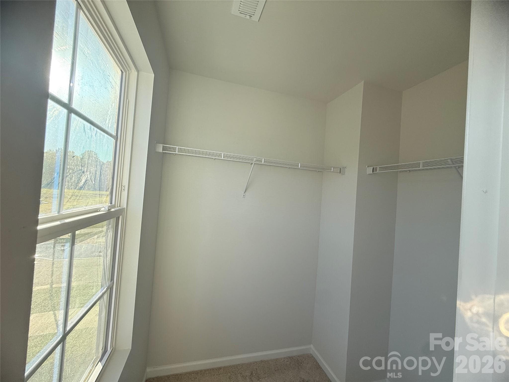 Walk-in closet with window - 1227 Bansal Drive, Charlotte