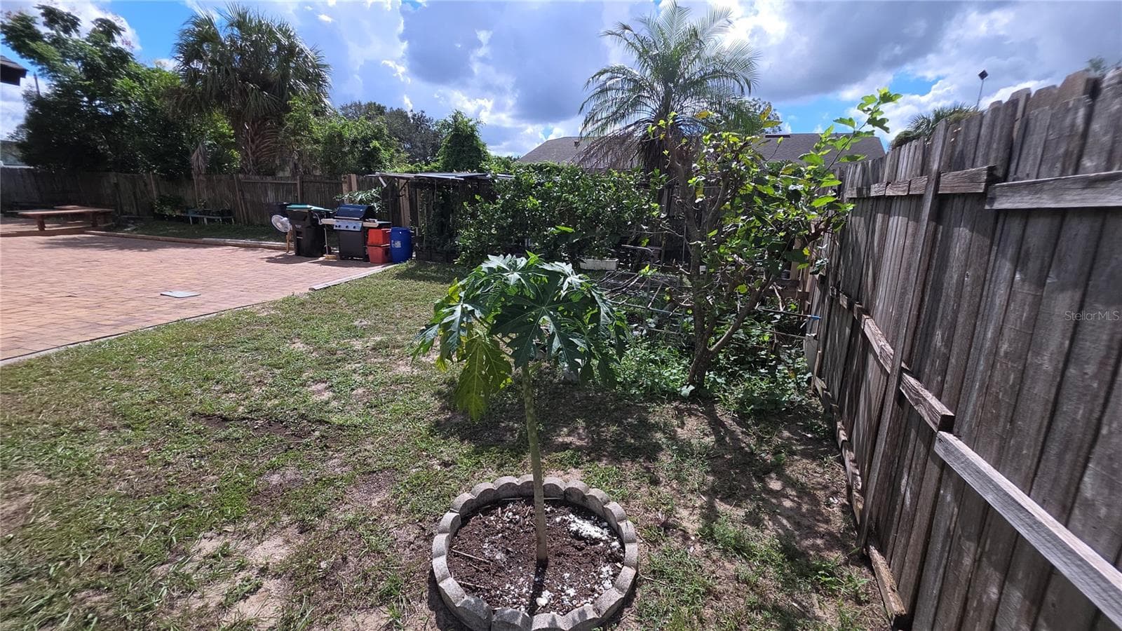 Fruit and other Trees - 7514 HERRICKS LOOP, ORLANDO