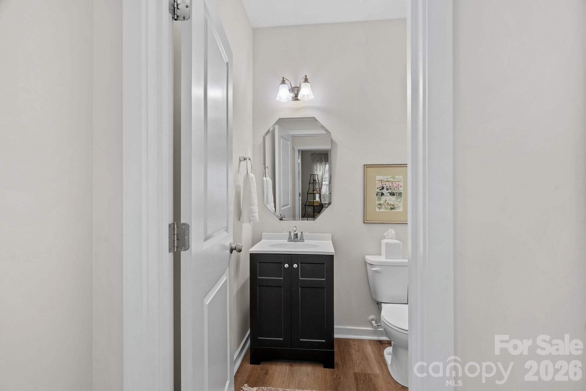 Powder Room - 13326 Pierre Reverdy Drive, Davidson