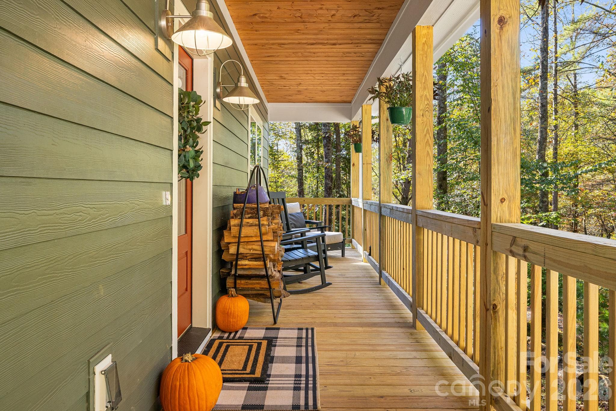 Single Family Residence at 203 Sawyer Lane, Horse Shoe, photo 15 of 48