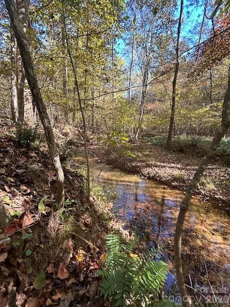 Lot at TBD Cross Creek Drive, Rutherfordton, photo 2 of 34