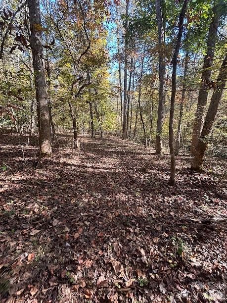 Lot at TBD Cross Creek Drive, Rutherfordton, photo 6 of 34