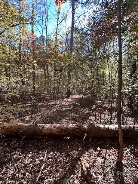 Lot at TBD Cross Creek Drive, Rutherfordton, photo 8 of 34