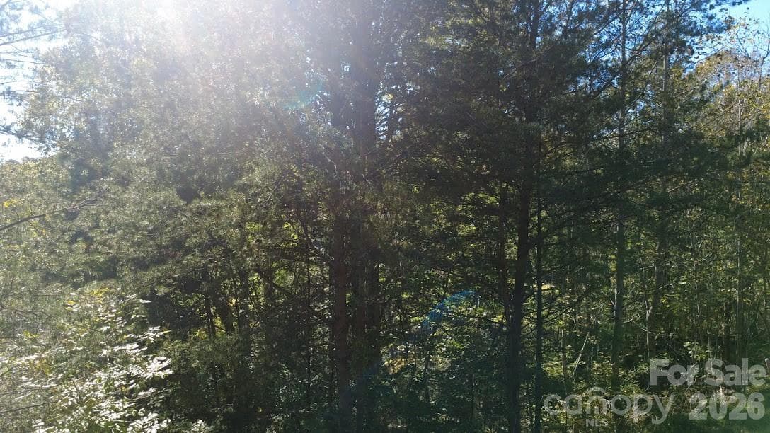 Lot at TBD Cross Creek Drive, Rutherfordton, photo 10 of 34