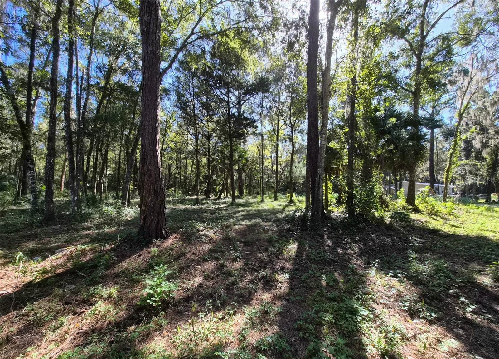 Land at 0 SW 16TH PL, OCALA, photo 2 of 4