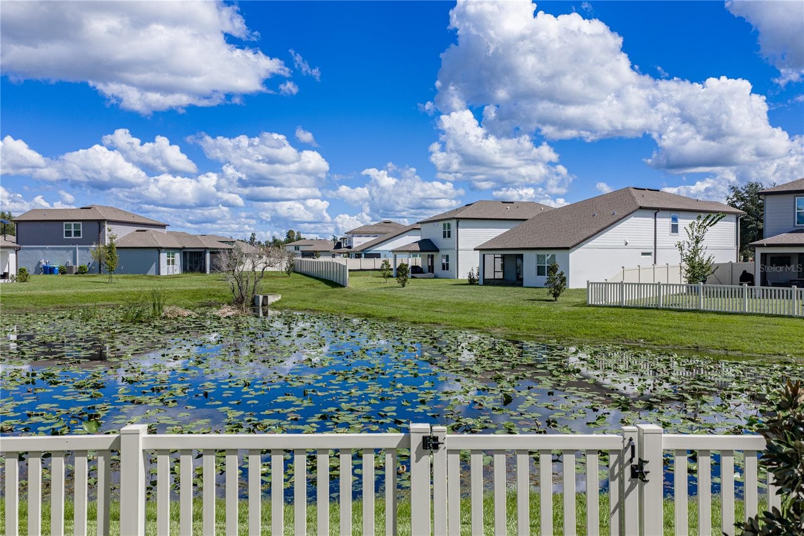 Fully Fenced Conservation Pond Lot - 1076 KISTNA DR, ZEPHYRHILLS