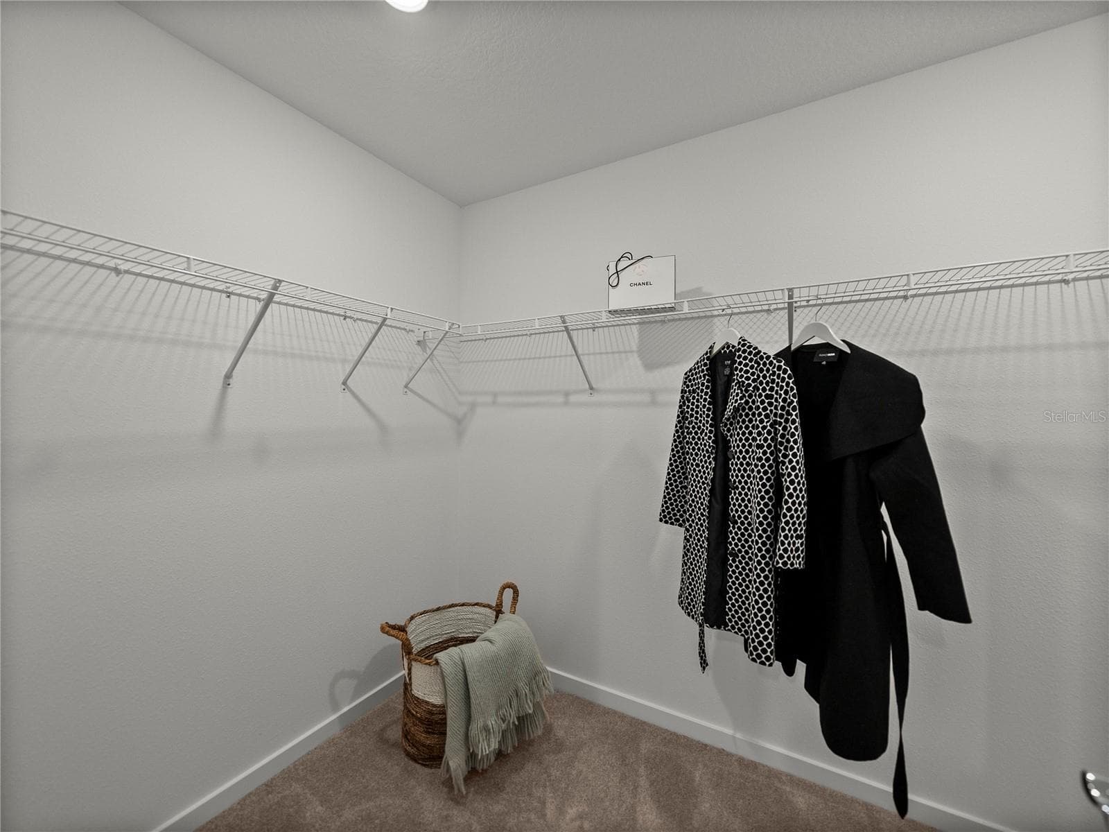 Large Primary Walk in Closet - 1076 KISTNA DR, ZEPHYRHILLS