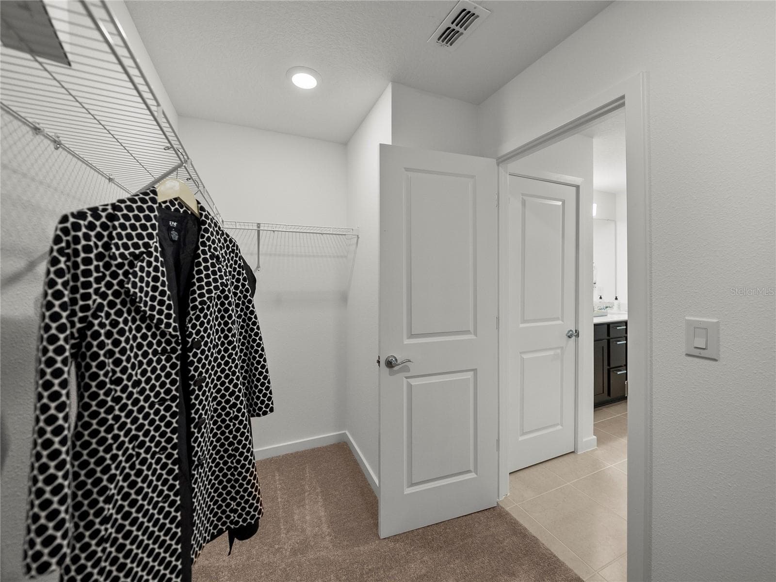 Alternate View of Primary Suite Walk in Closet - 1076 KISTNA DR, ZEPHYRHILLS