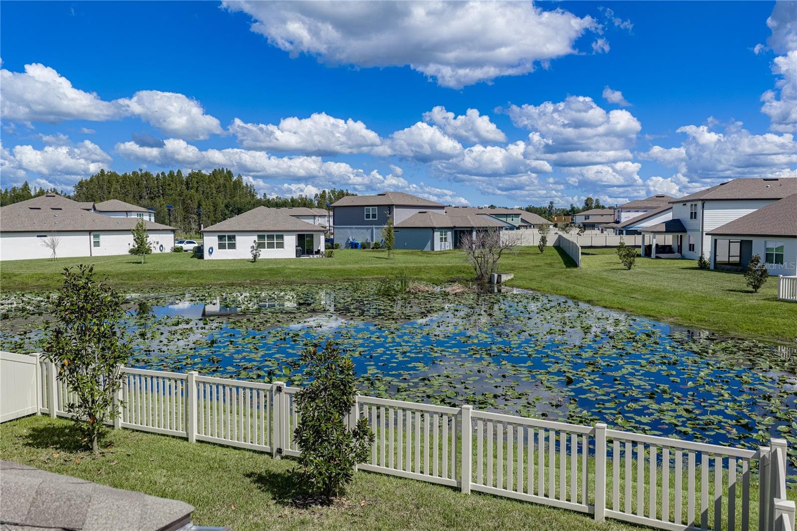 Rear View - 1076 KISTNA DR, ZEPHYRHILLS