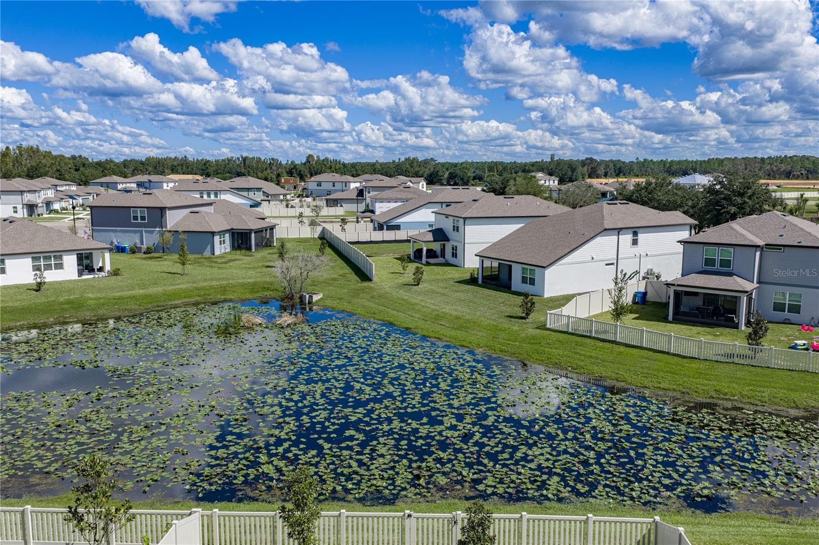 Rear View - 1076 KISTNA DR, ZEPHYRHILLS