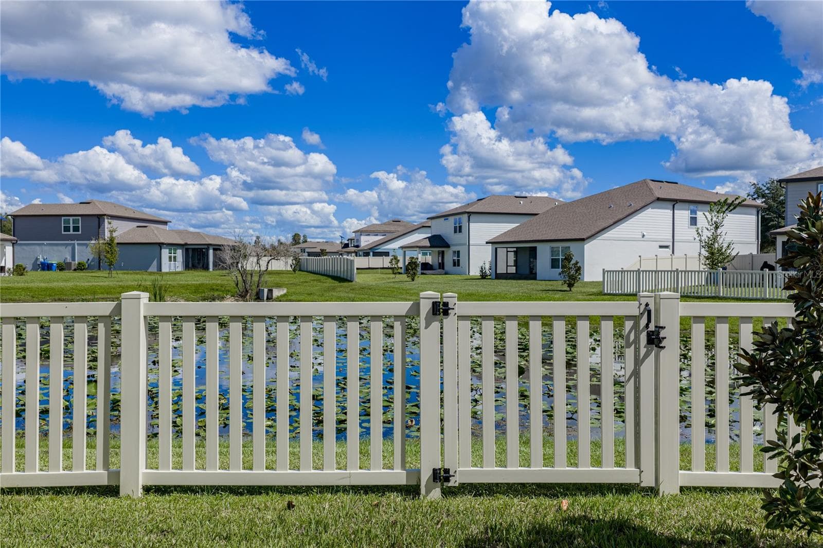 Rear View - 1076 KISTNA DR, ZEPHYRHILLS