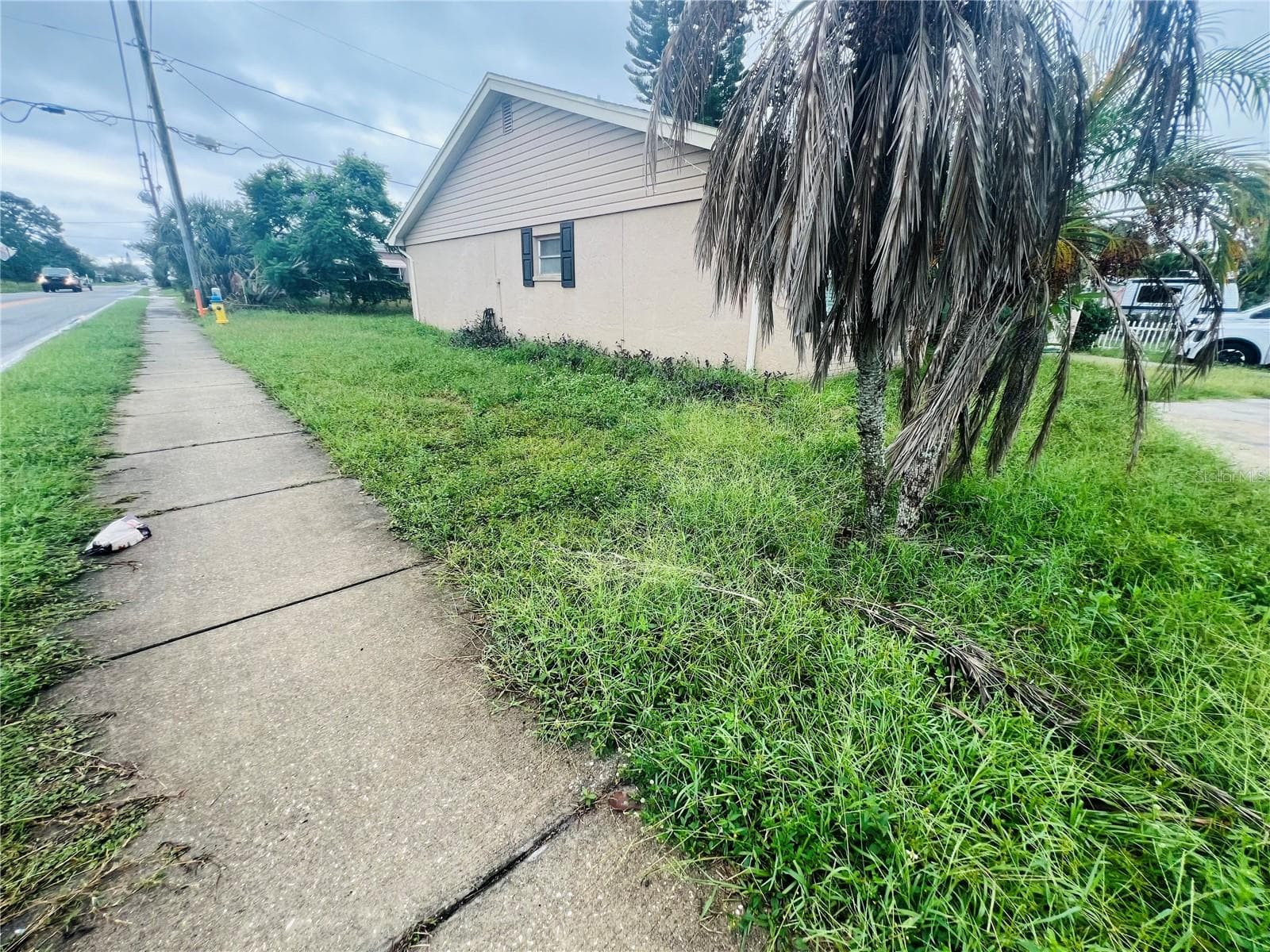 SIDE OF HOME - 3448 SPRINGFIELD DR, HOLIDAY