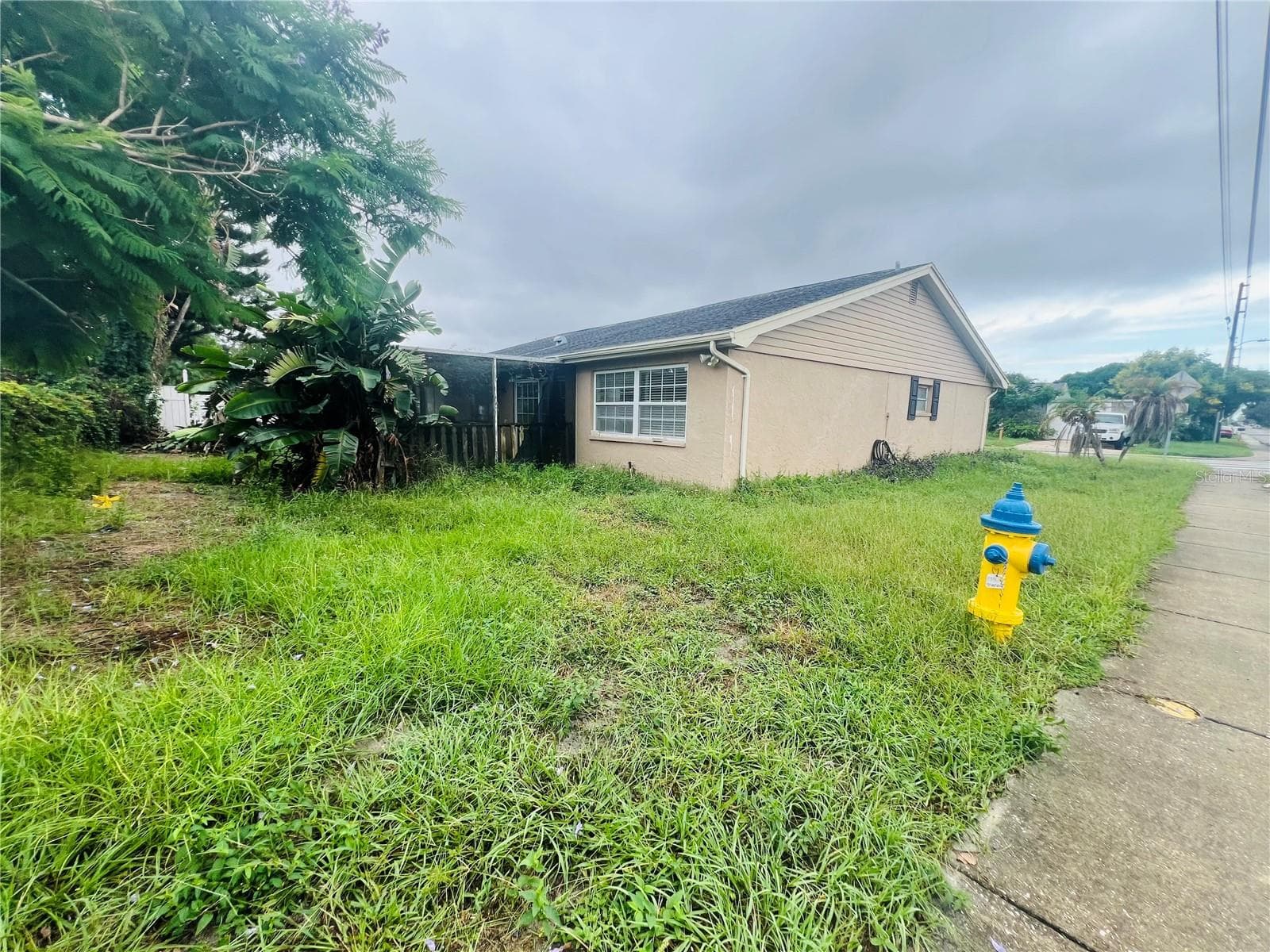 BACK AND SIDE YARD - 3448 SPRINGFIELD DR, HOLIDAY