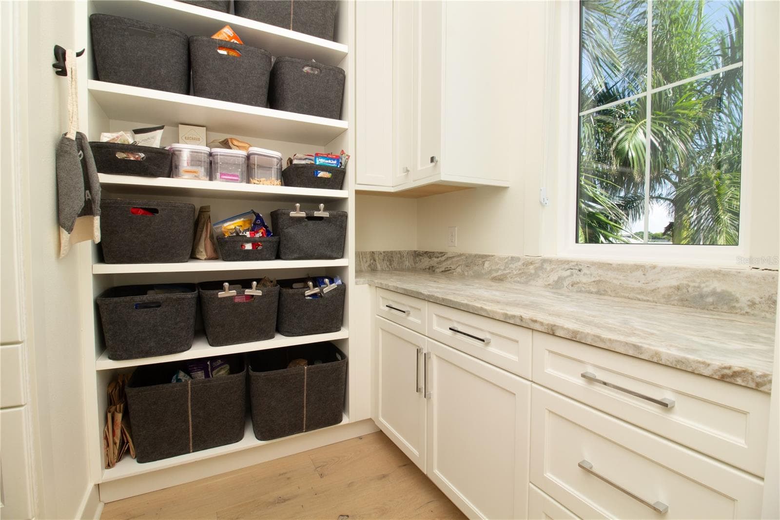 Hidden Pantry - 271 S JULIA CIR, ST PETE BEACH