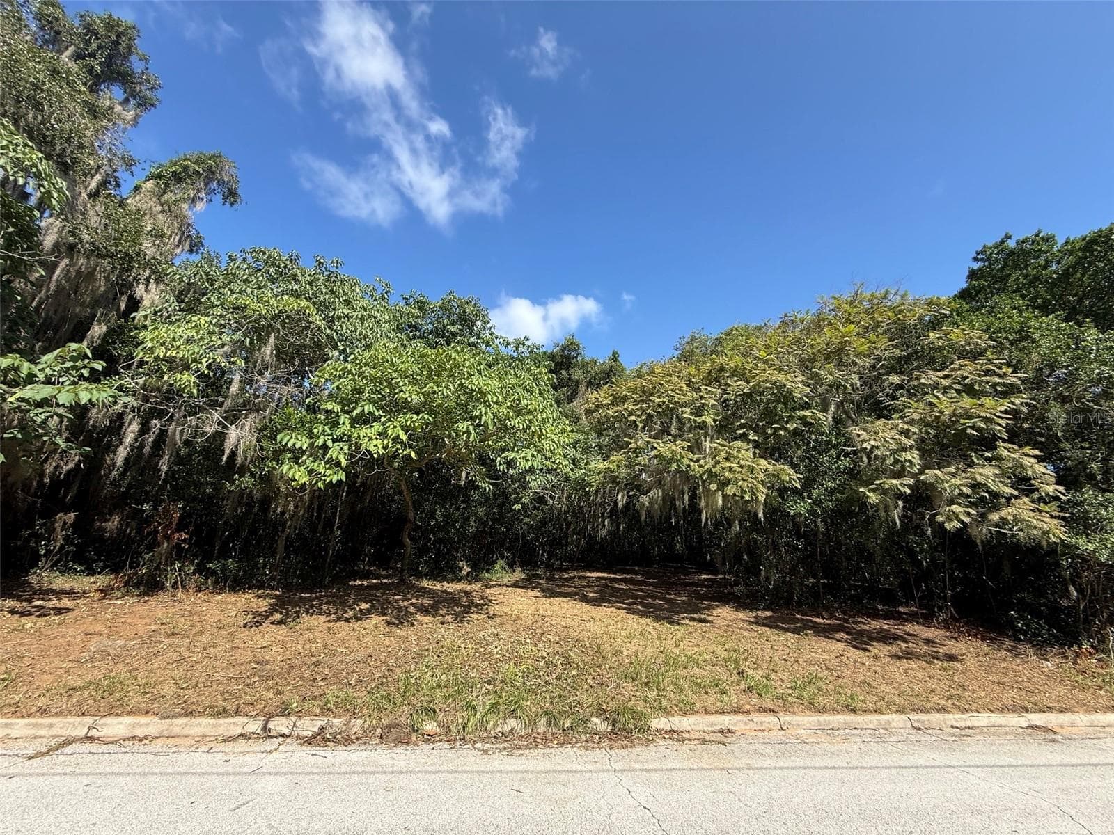Land at MORNINGSIDE DR, EUSTIS, photo 5 of 6