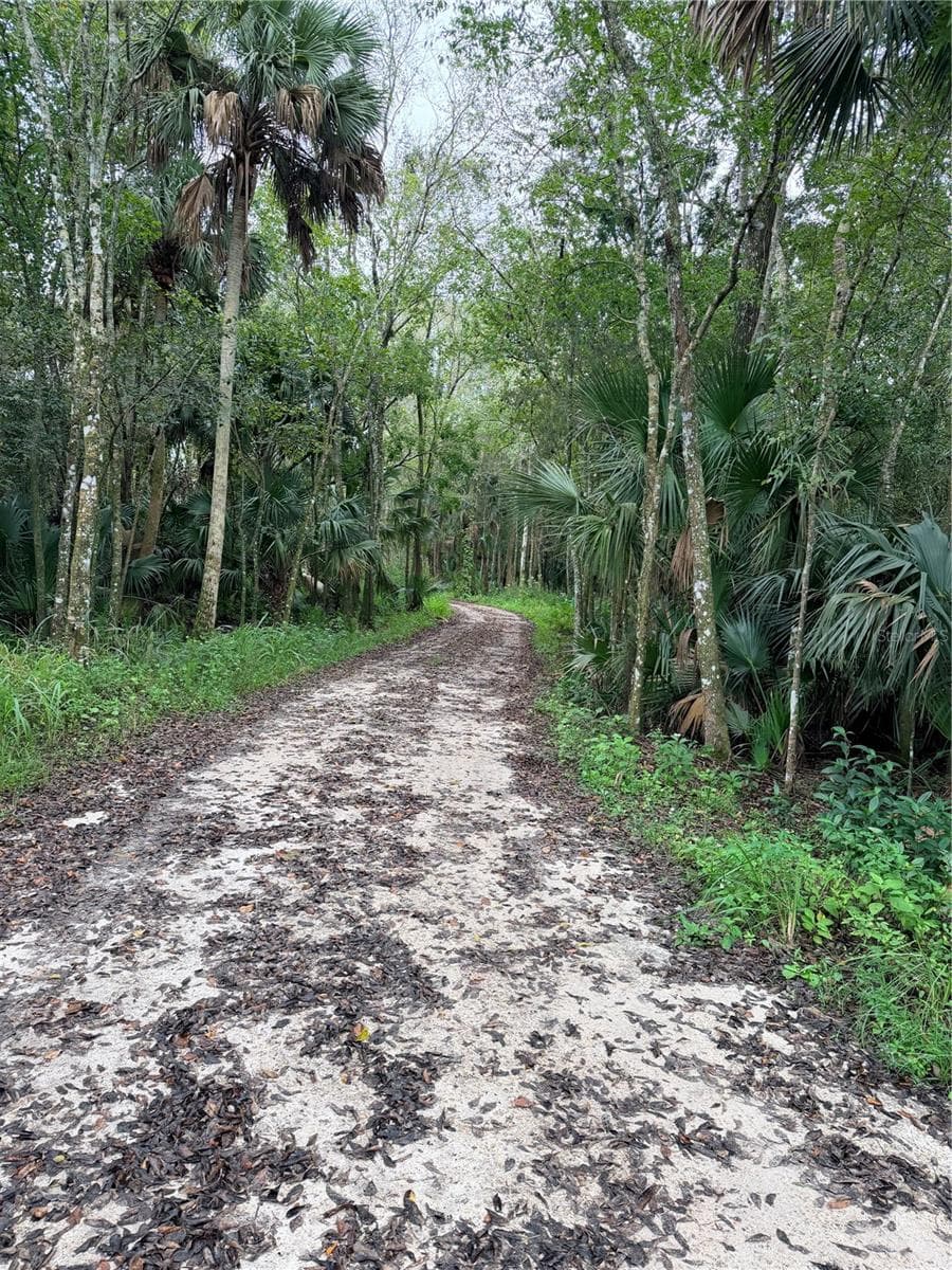 Land at 2295 CANAL ST, OVIEDO, photo 2 of 9