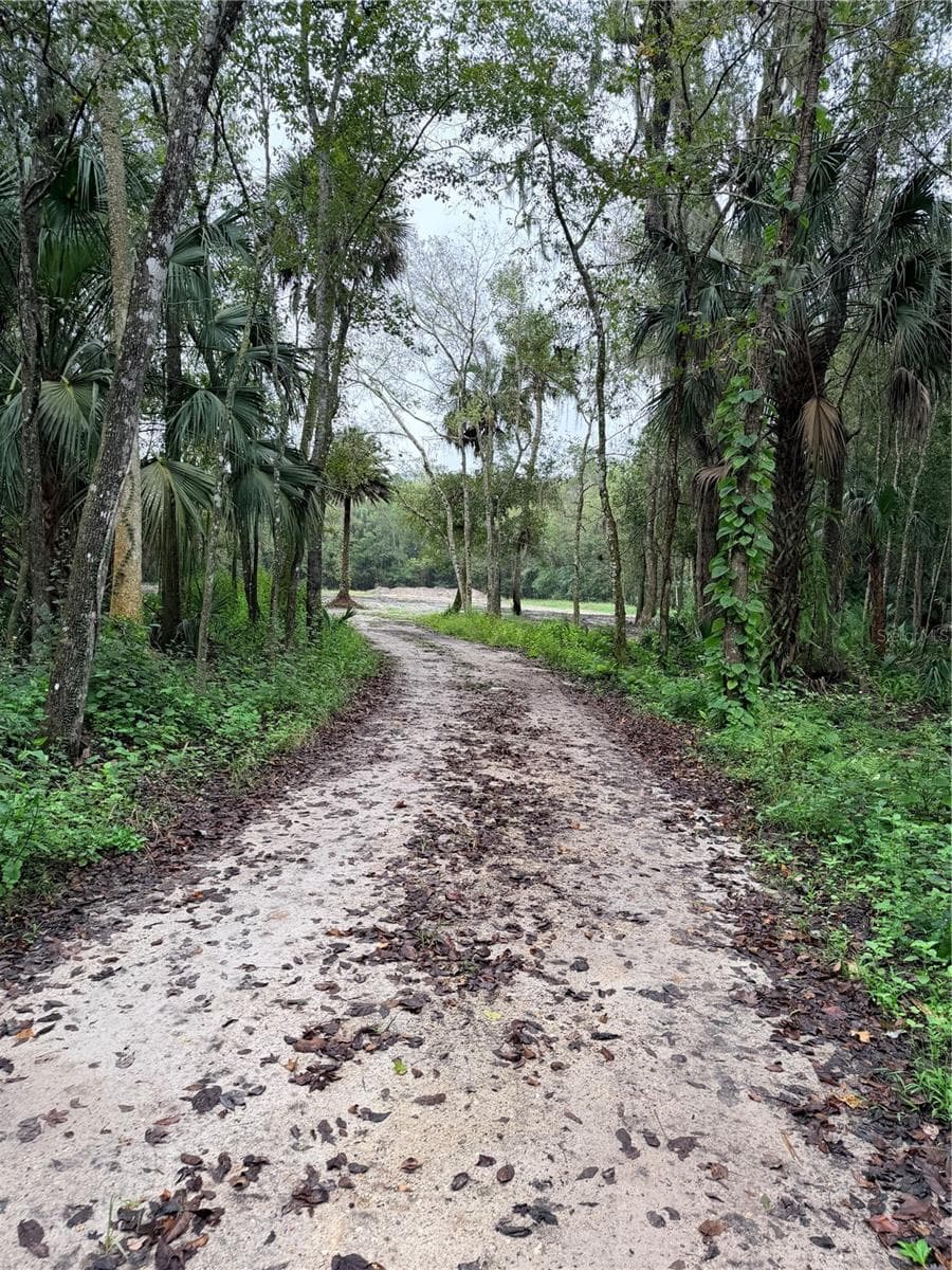 Land at 2295 CANAL ST, OVIEDO, photo 3 of 9