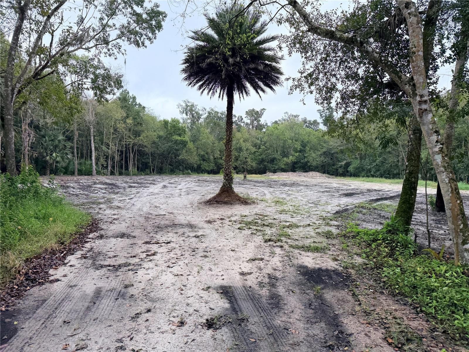 Land at 2295 CANAL ST, OVIEDO, photo 4 of 9