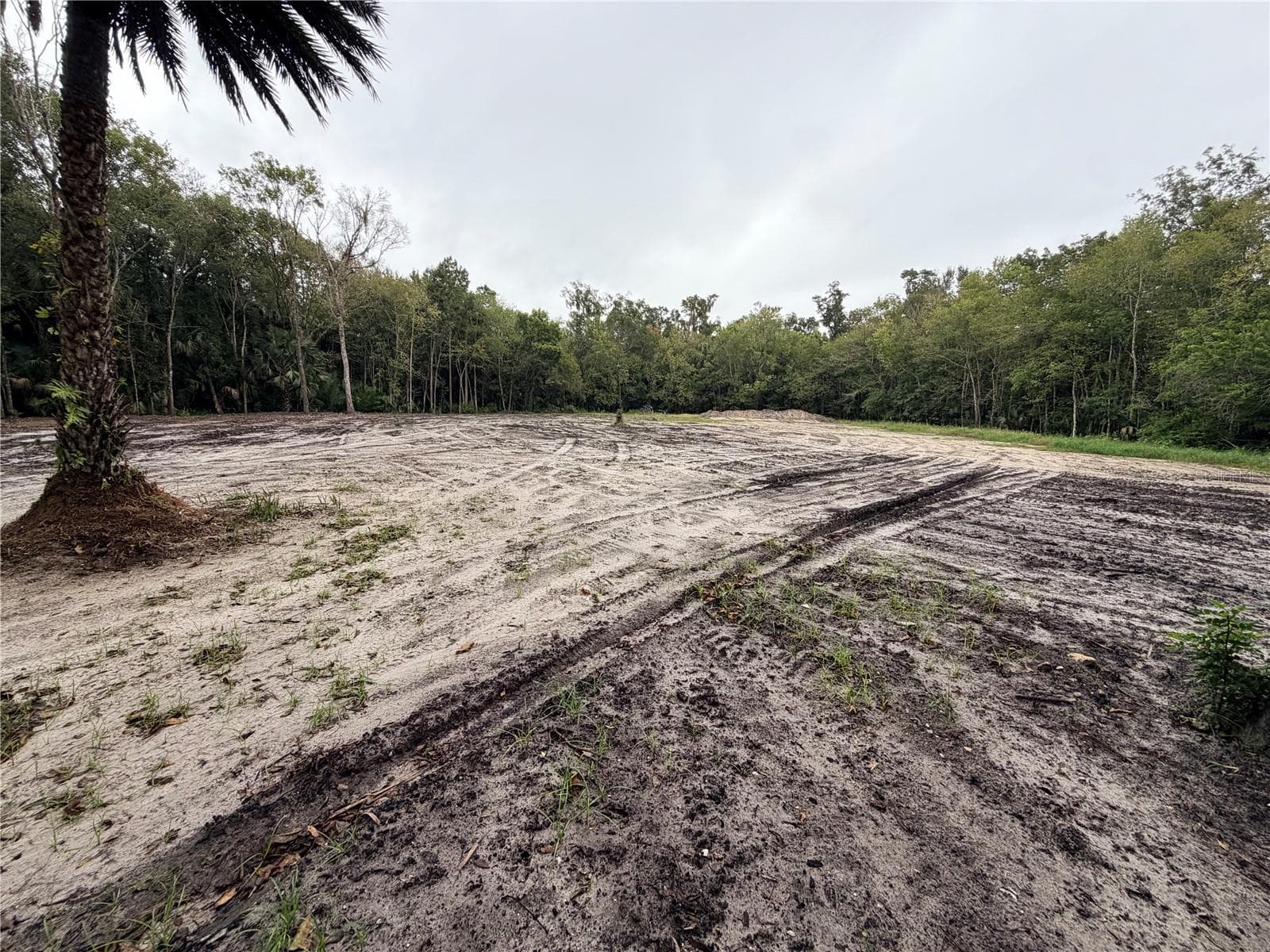 Land at 2295 CANAL ST, OVIEDO, photo 5 of 9